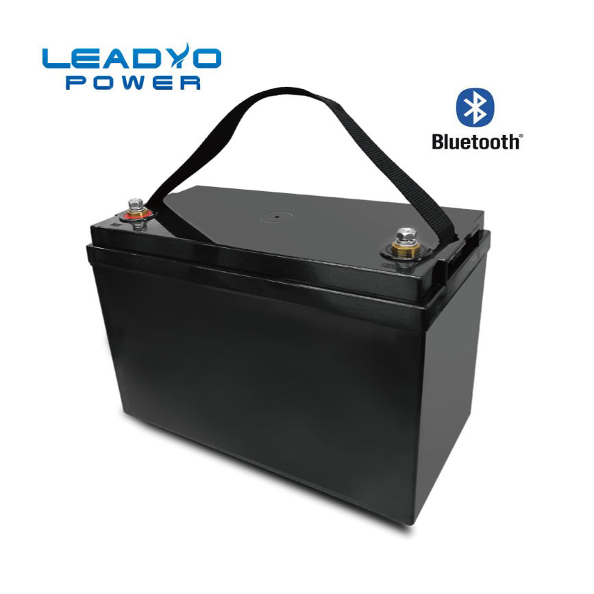 LEADYO 12V 100Ah Rechargeable Battery Lifepo4 Battery Pack 5000 Times Long Life Cycle