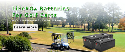 quality 12V Lifepo4 Battery factory