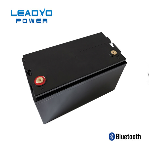 LEADYO BMS Marine Lifepo4 Batteries 12V 100amp Plastic Screwable Case